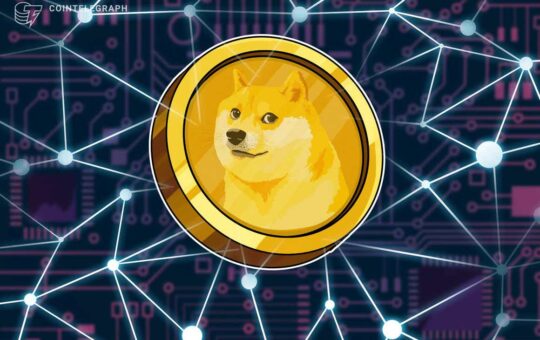 Dogecoin founder speaks out against ‘meme coins’