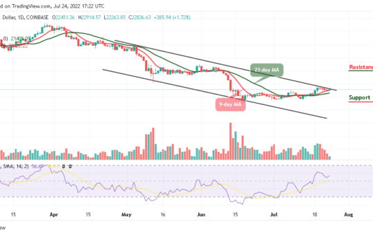 Bitcoin Price Prediction