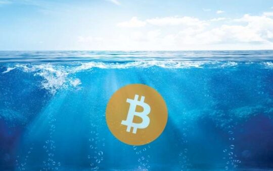 Guatemalan Town Cleans Local Lake Using Bitcoin Miners