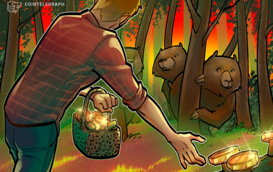 How to earn passive crypto income in a bear market?
