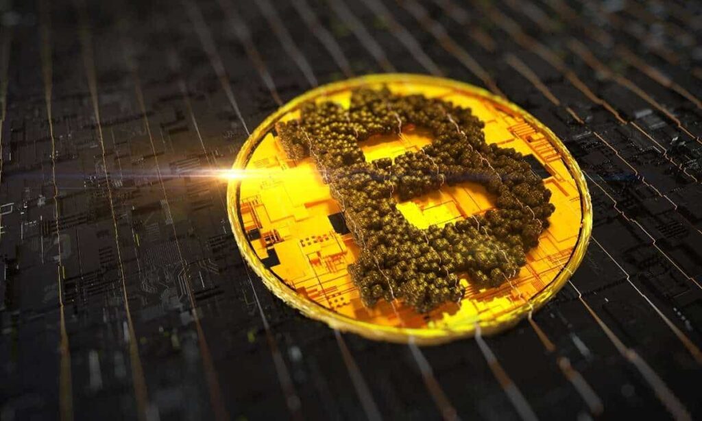 13 Years Ago: 5000 BTC Sold for Only $5