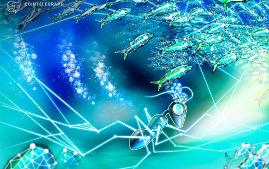 Polygon partners with ocean conservation NGO to advance ocean literacy
