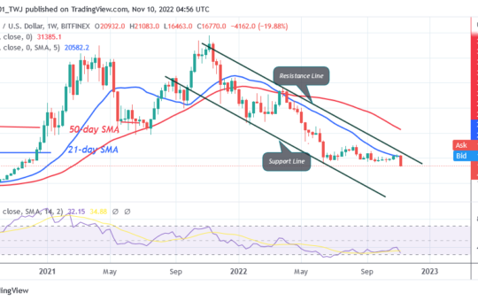 Bitcoin Price Prediction for Today, November 10: BTC Price Pauses above $15.6K