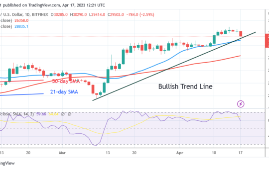 Bitcoin Price Prediction for Today, April 17: BTC Price Is Circling over the $29K Support