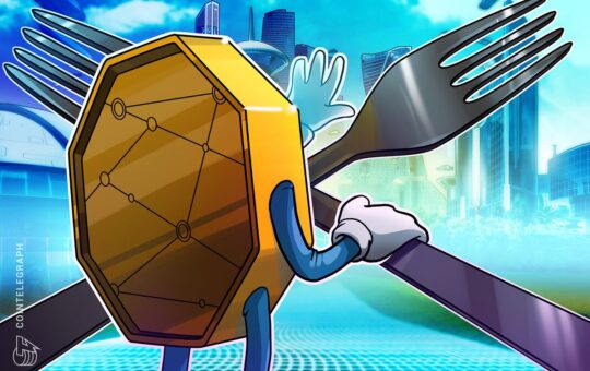 NFT platform Enjin forks Polkadot parachain Efinity to new mainnet