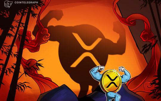 SEC's appeal won't be a setback for XRP holders – Pro XRP lawyer