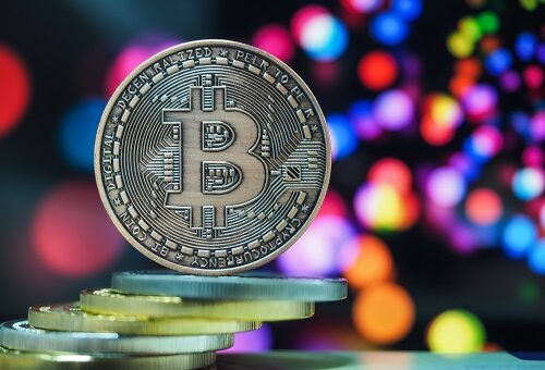 Shiba Memu token is thriving despite the painful crypto sell-off