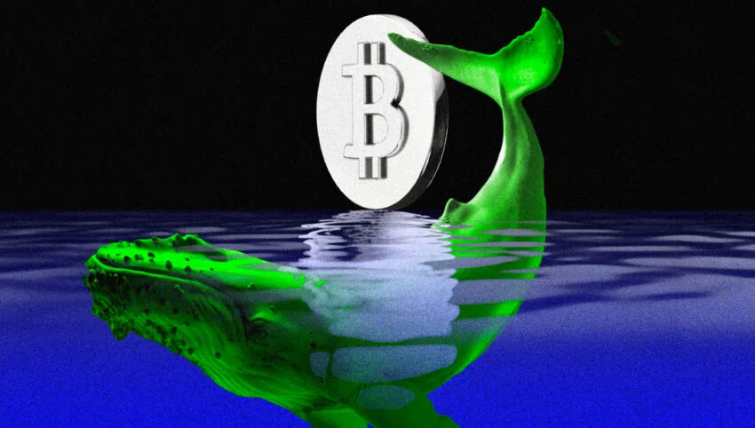 Bitcoin Moguls Convene in Montenegro to Mull Hydro BTC Bonds