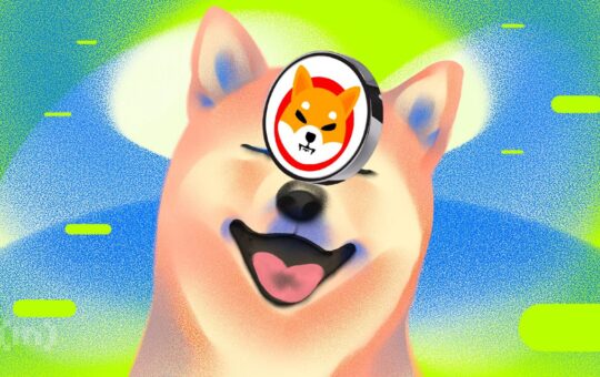 Shiba Inu (SHIB) Reserves on Exchanges Drop 4% as Whales Continue to Accumulate