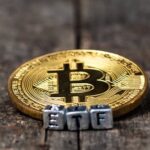 Bitcoin ETF Issuers May Dwindle by End of Year, Says Valkyrie CIO