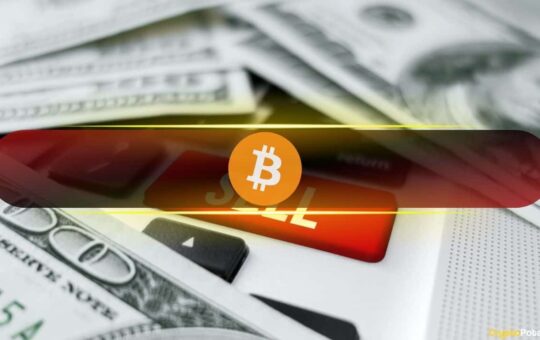 Large Bitcoin Investors Persist in Accumulation as Short-term Holders Begin to Sell: CryptoQuant