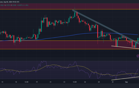 XRP Price Surge Imminent? Key Metrics Reveal Bullish Potential