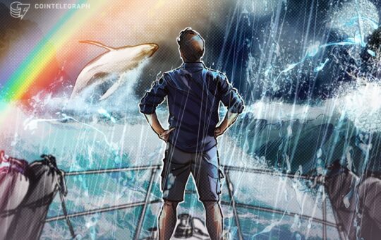 Celestia Founder Defends Team Amid Dumping Allegations