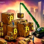 Animoca Brands Taps DDC Enterprise to manage Yield for BTC Treasury