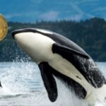 Galaxy Digital sends over 10,000 Bitcoin from Satoshi-era stash to exchanges