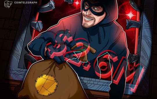 Auditor Flagged Issue Before $2.59M Nemo Hack, Team Admits