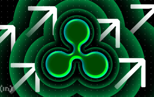 XRP Whales Scoop Up $630 Million, But One Risk Remains