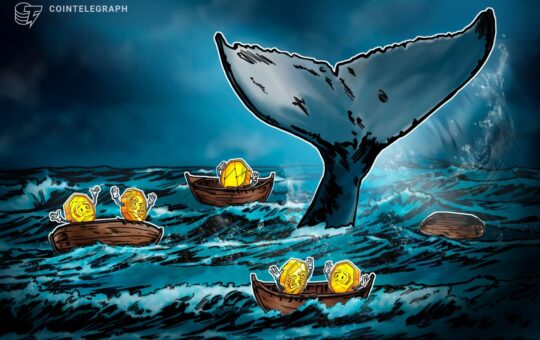 Do Bitcoin Whales Really Control Market Ups and Downs?