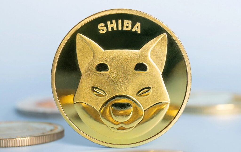 Shiba Inu forecast as bulls eye breakout after deep accumulation