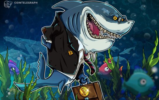 Bitcoin Sharks Accumulate Despite 'Perfect Bull Trap' Warnings
