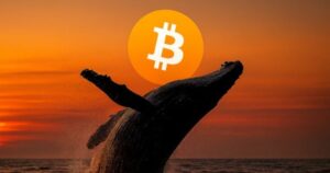 Bitcoin whale posts $50 million gain on BTC, ETH and SOL longs