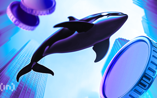 How Are Litecoin Whales Positioning as LTC Trades 46% Down