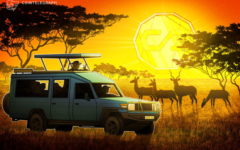 Stablecoin Conversion Costs Highest in Africa, Data Shows