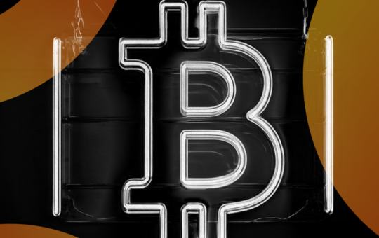 The 10 Public Companies With the Biggest Bitcoin Portfolios